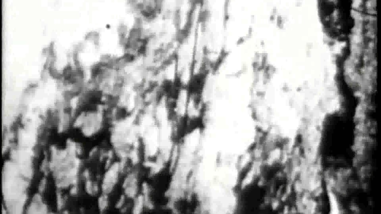 BEGOTTEN theatrical trailer