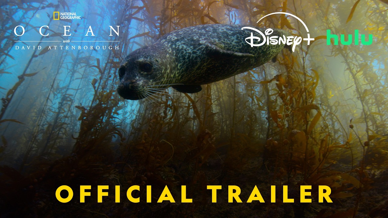 Official US Trailer