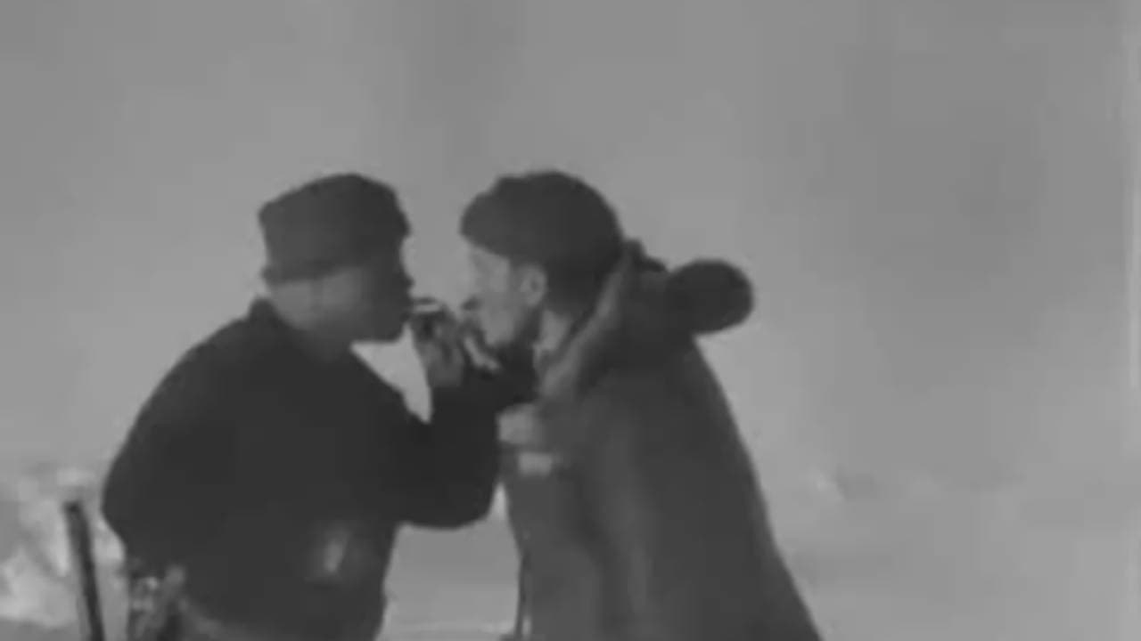 Papanin Squad backdrop