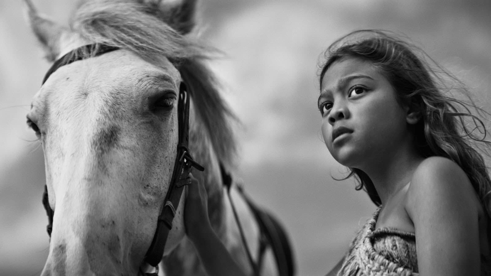 First Horse backdrop