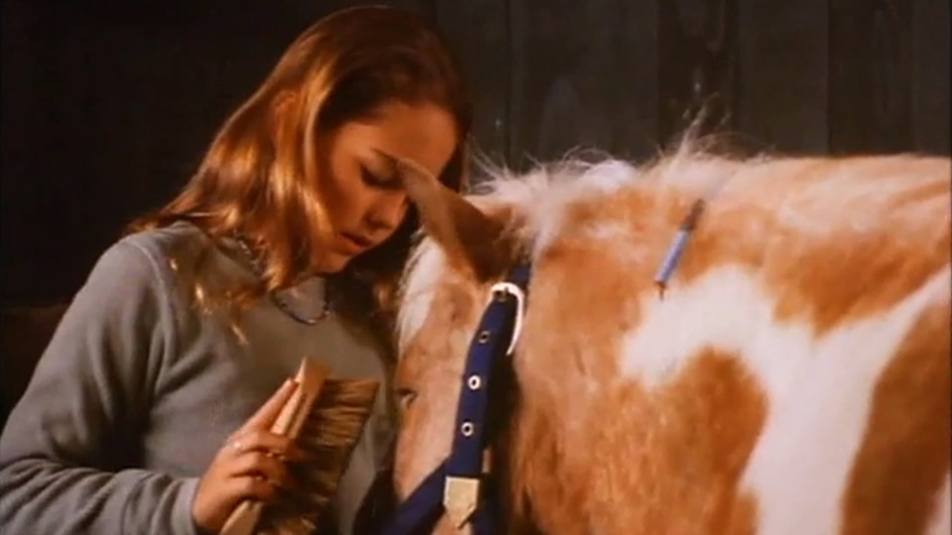 Two Bits & Pepper backdrop