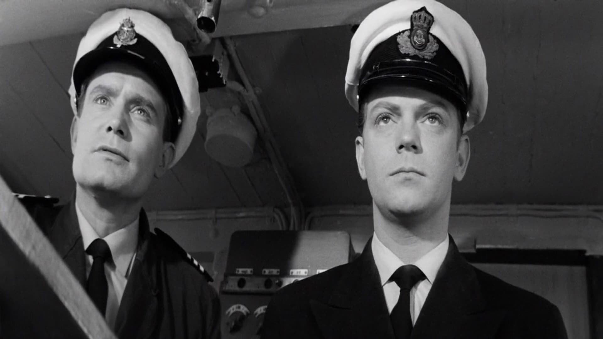 Sorte Shara backdrop