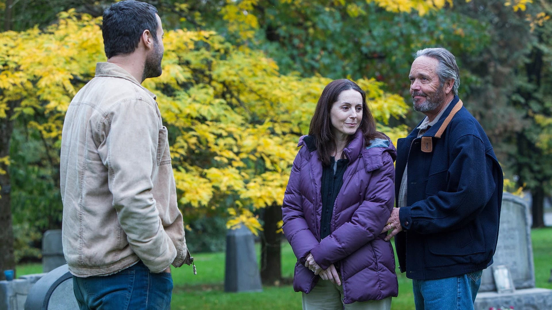 The Wilding backdrop