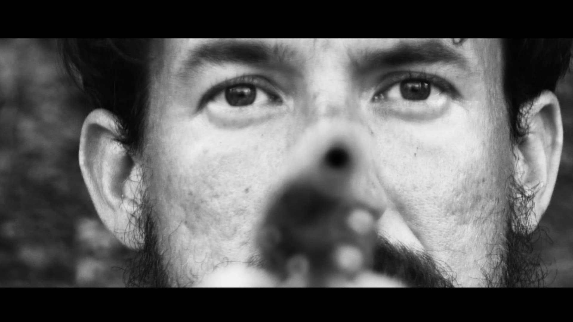 No Dollars For The Dead backdrop