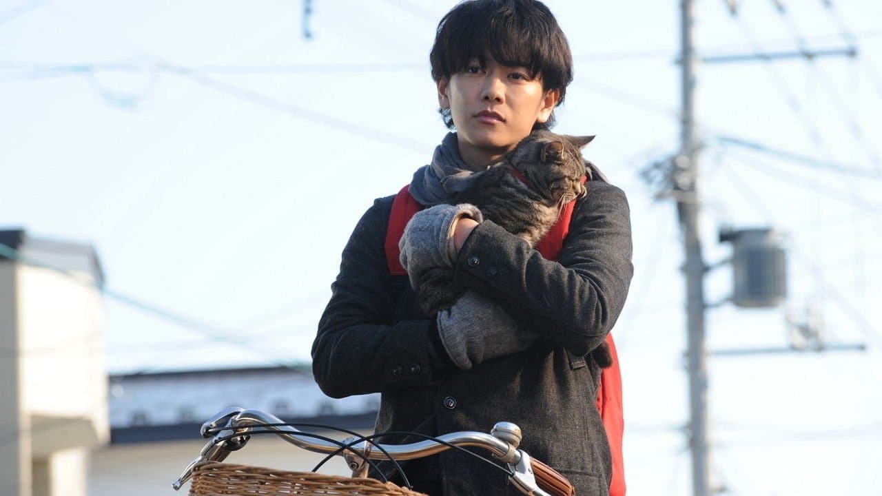 If Cats Disappeared from the World backdrop