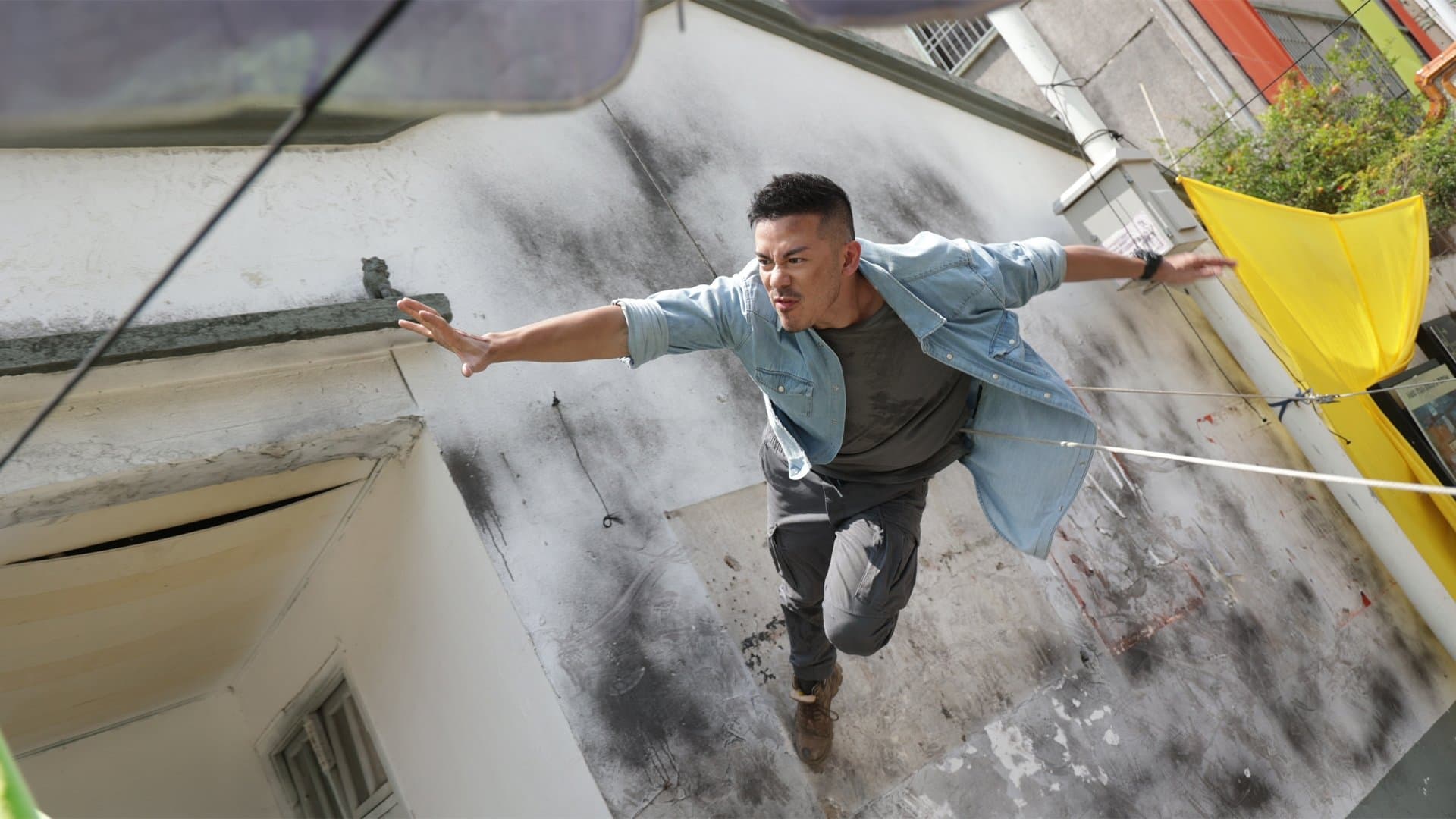 Crazy Lizard backdrop