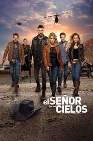 44953 poster