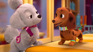 Welcome Waggin' / Groom Games