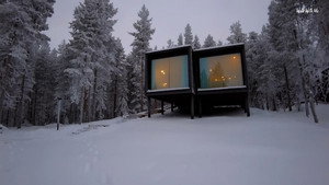 A Luxury Arctic Tree House - USA