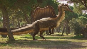 The River Dragon
