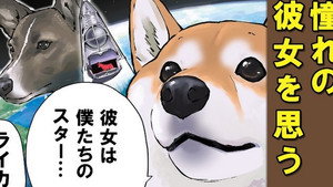 A Certain Dog`s Long Journey