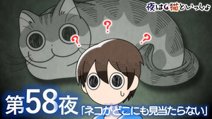 Night 58: A Cat Who's Nowhere to be Found