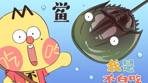 Episode 196