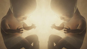Human Genesis