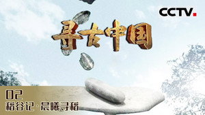Episode 14