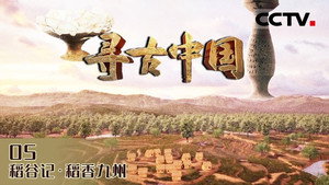 Episode 17