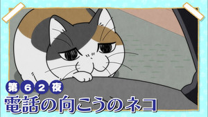 Night 62: A Cat On the Other End of the Line