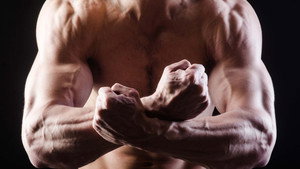 Do we need the alpha male?