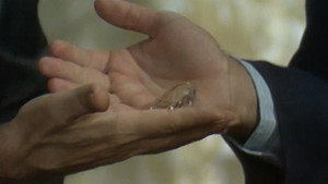 Chapter 179