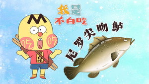 Episode 586