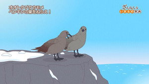 Episode 29