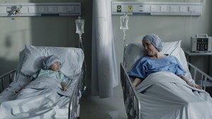 El transplante