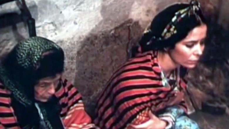 Scene 3