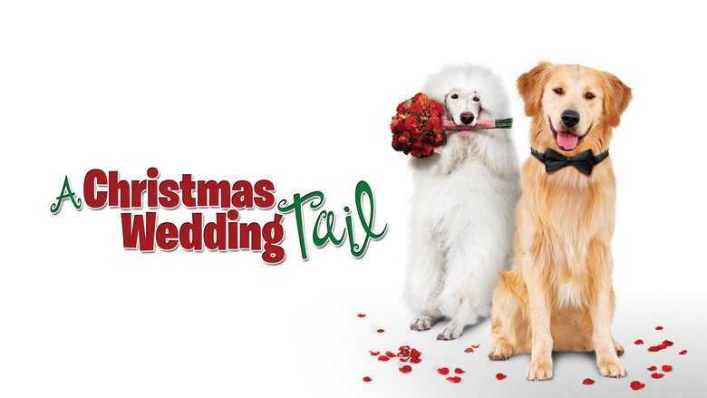Scene 3