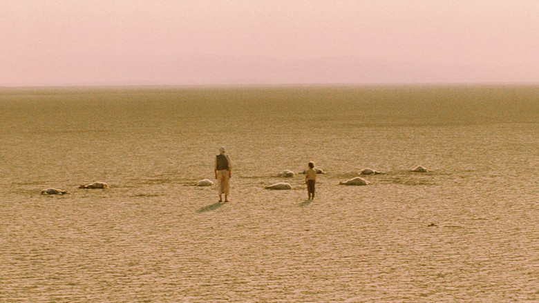 Scene 5