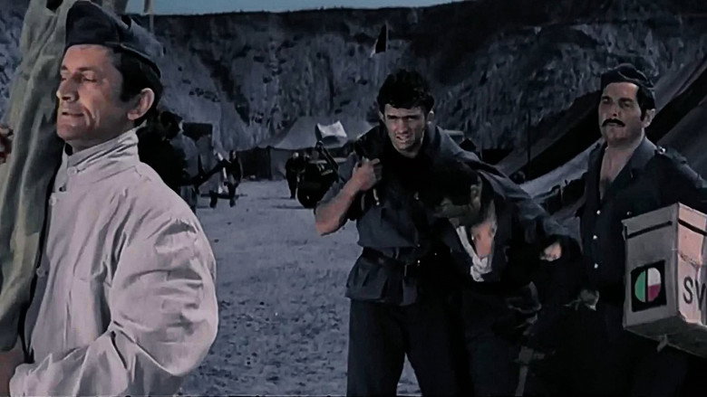 Scene 5