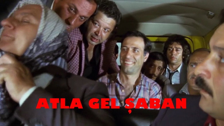 Scene 5
