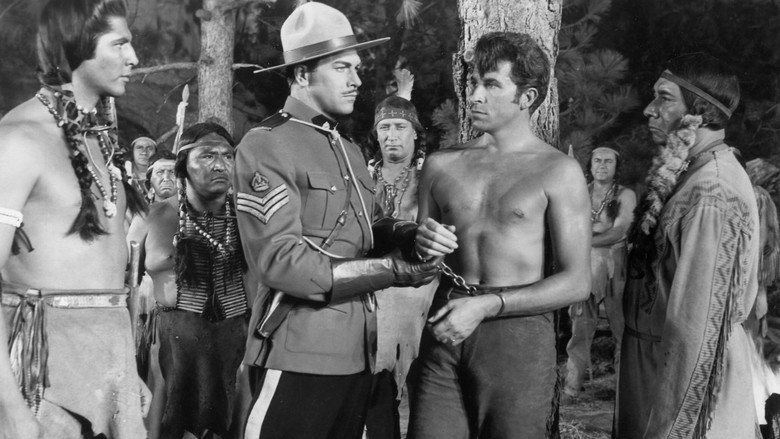 Scene 4