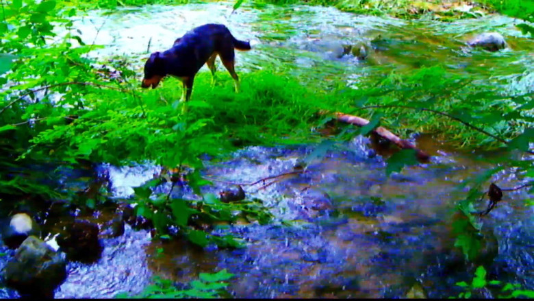 Scene 5