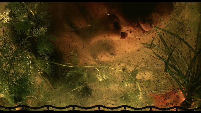 Scene 2
