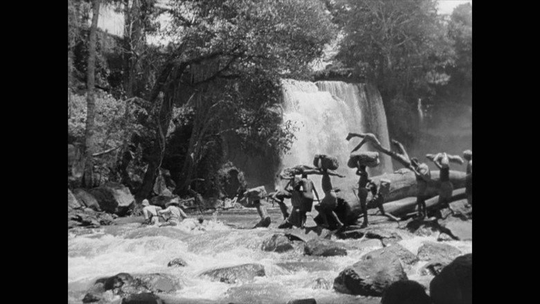 Scene 5