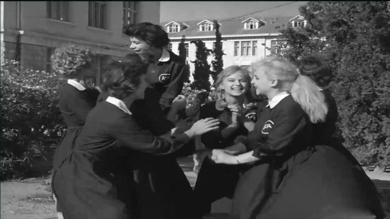 Scene 5