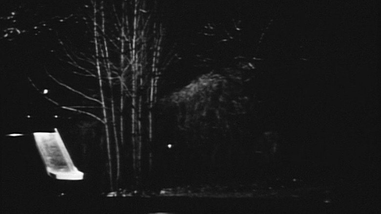 Scene 2