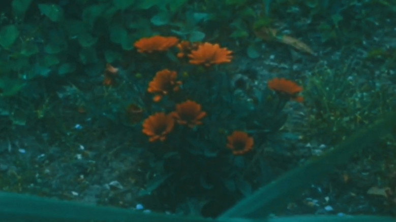 Scene 5