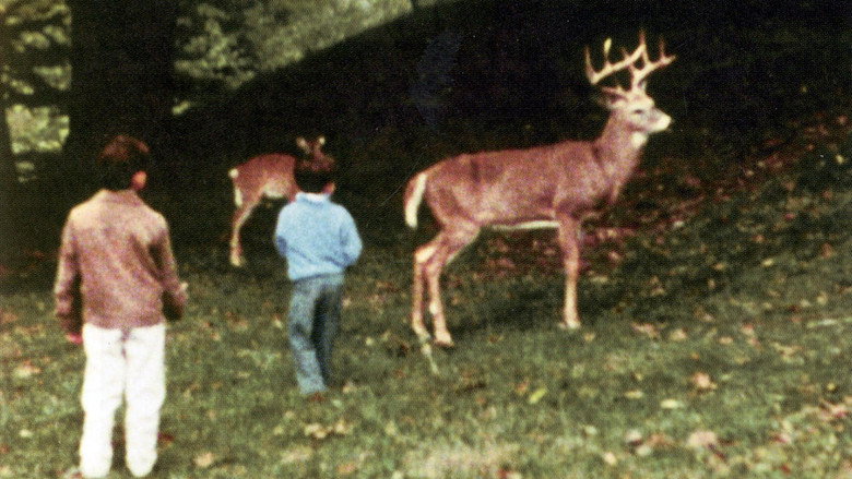 Scene 4
