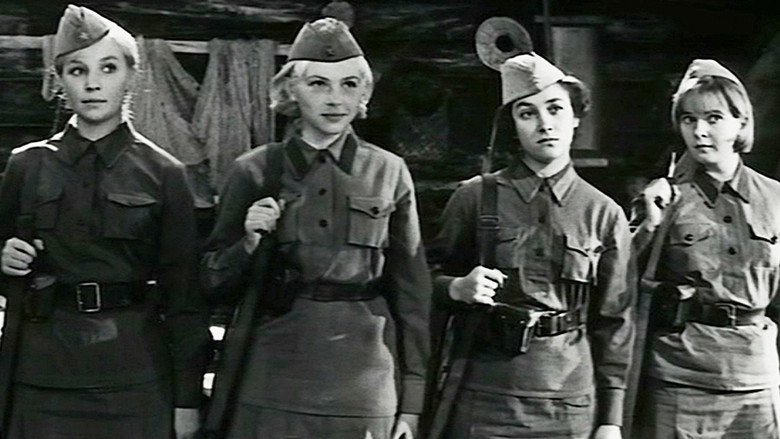 Scene 4