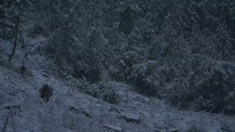 Scene 5